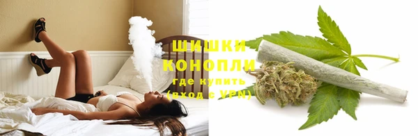 крисы Россошь